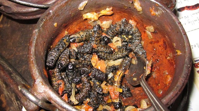 Rùng mình với 5 món ăn kỳ lạ dịp Giáng sinh - ảnh 1
