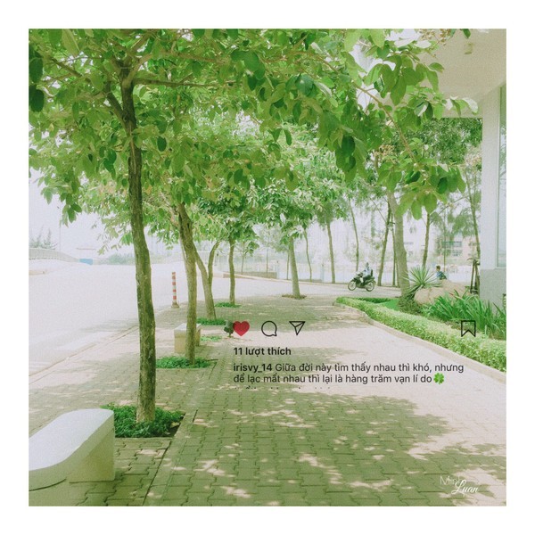 Ngắm những góc nhỏ thanh xuân đầy lãng mạn qua bộ ảnh của sinh viên ĐH Tôn Đức Thắng - ảnh 3