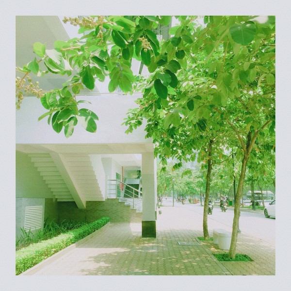 Ngắm những góc nhỏ thanh xuân đầy lãng mạn qua bộ ảnh của sinh viên ĐH Tôn Đức Thắng - ảnh 6