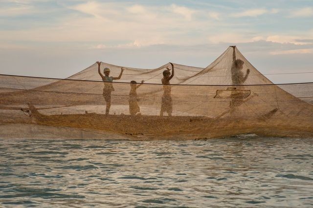 Tác phẩm của nhiếp ảnh gia người Việt lọt Top 12 bức đẹp nhất trên National Geographic - ảnh 6