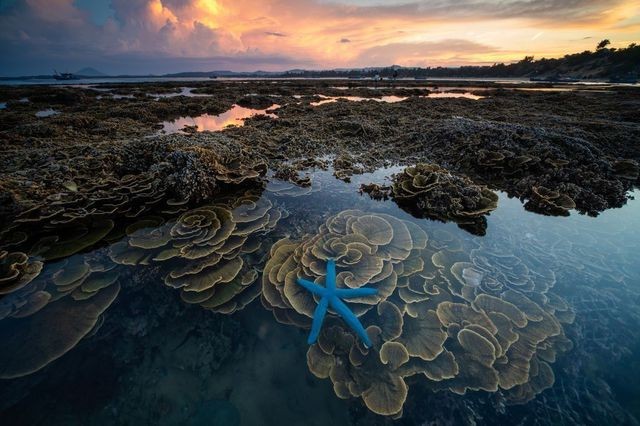 Tác phẩm của nhiếp ảnh gia người Việt lọt Top 12 bức đẹp nhất trên National Geographic - ảnh 7