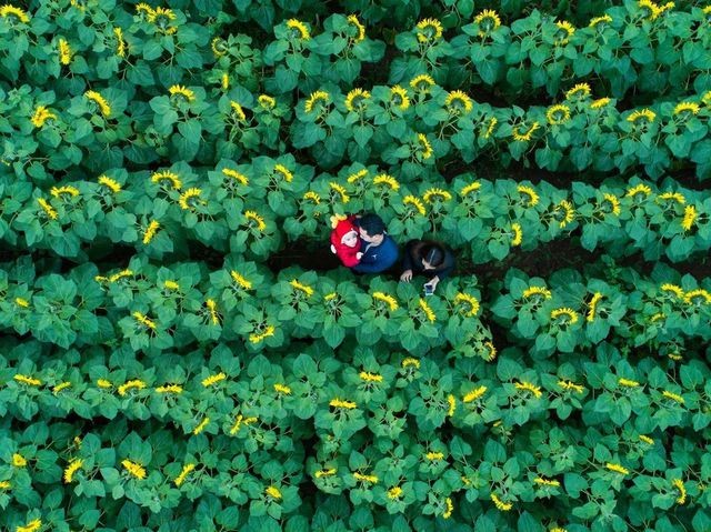 Tác phẩm của nhiếp ảnh gia người Việt lọt Top 12 bức đẹp nhất trên National Geographic - ảnh 2