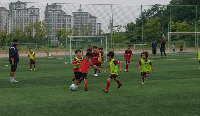 Trẻ em học hành kiệt sức, thể thao Hàn khó có