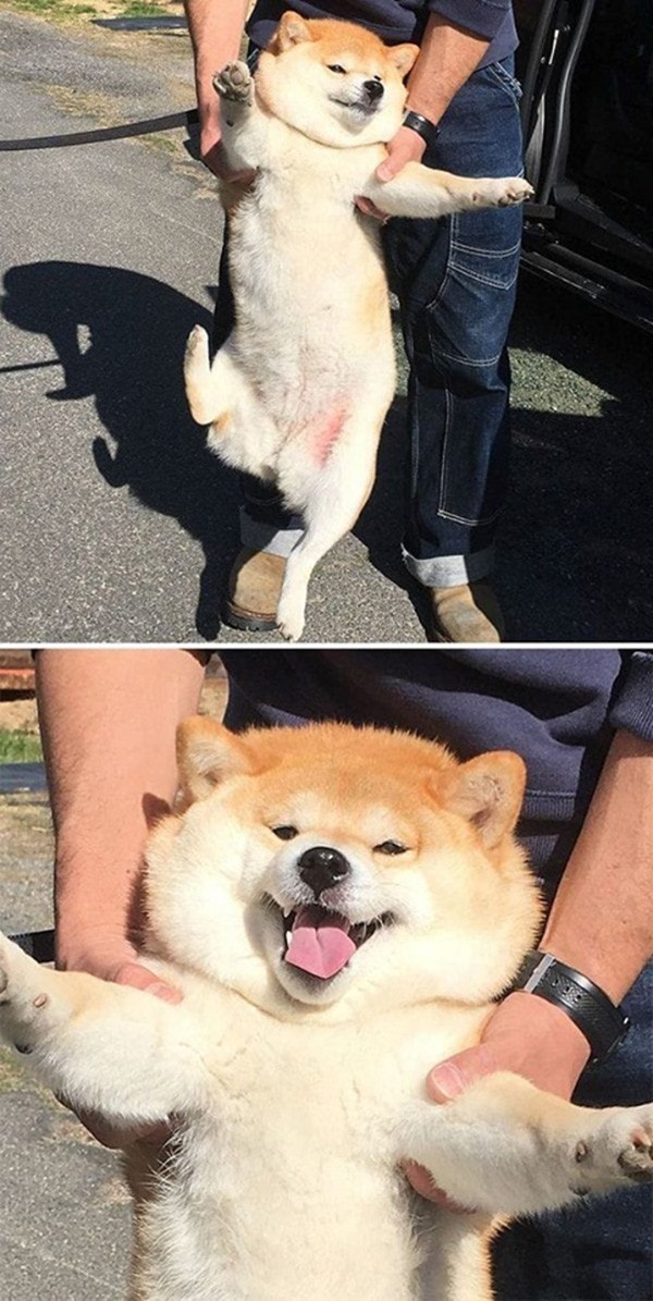 Các