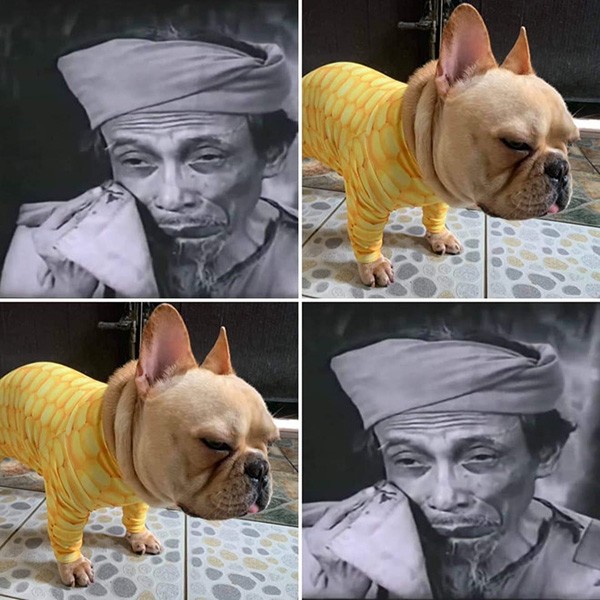 Các