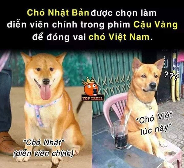 Các