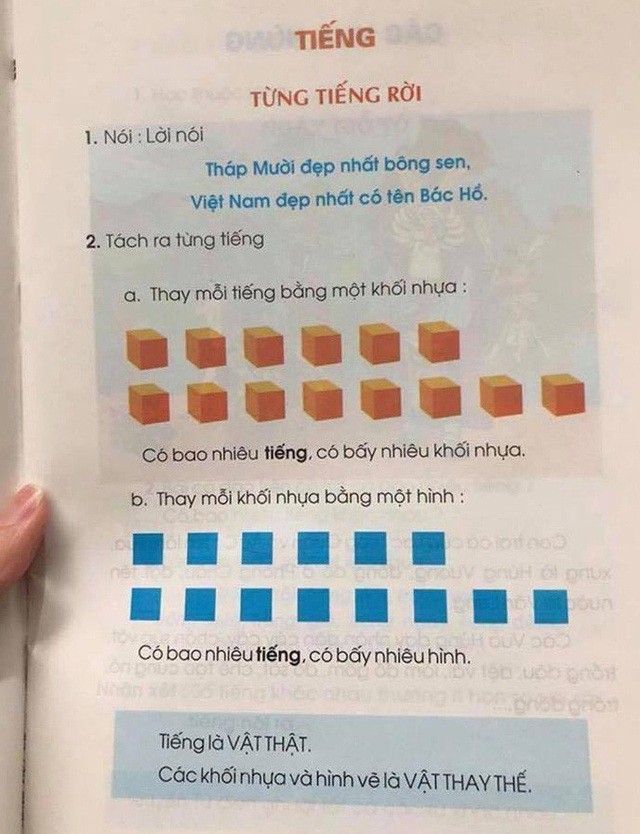 Sách đánh vần “hình tròn ô vuông” của GS Hồ Ngọc Đại bị rớt khỏi vòng thẩm định - ảnh 2