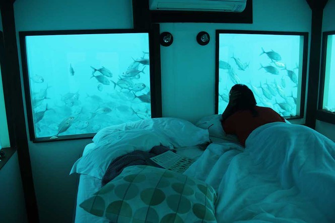 Khách sạn nửa nổi nửa chìm kỳ lạ giữa biển ở châu Phi - ảnh 3