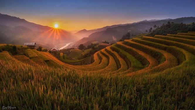 Đồi Móng Ngựa, điểm chụp lúa chín thu hút nhiếp ảnh gia ở Mù Cang Chải - ảnh 10