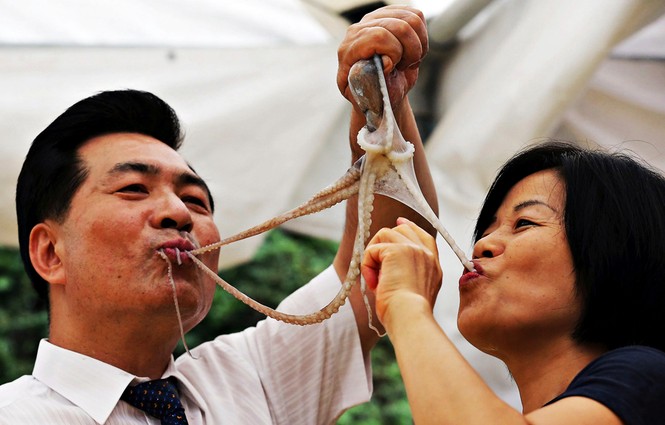 Cua tươi sống, bạch tuộc giãy giụa và những món dị nhất Hàn Quốc - ảnh 7
