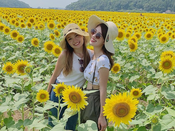 Đồng hoa hướng dương triệu bông ở Nhật đẹp như tranh khi mùa Thu đến - ảnh 6