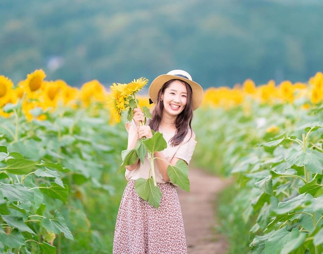 Đồng hoa hướng dương triệu bông ở Nhật đẹp như tranh khi mùa Thu đến - ảnh 7