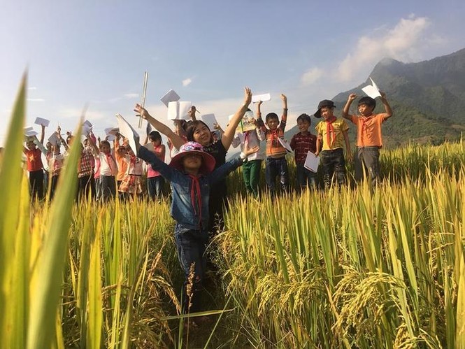 Cô giáo dẫn học trò ra tận cánh đồng để làm đề Văn tả cánh đồng quê hương - ảnh 2