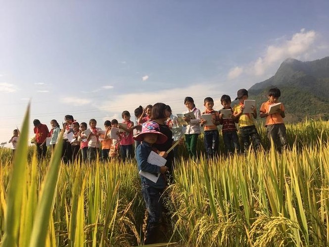 Cô giáo dẫn học trò ra tận cánh đồng để làm đề Văn tả cánh đồng quê hương - ảnh 3