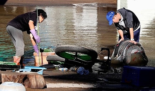 Nhật Bản không có một cọng rác nào sau siêu bão Hagibis - ảnh 5