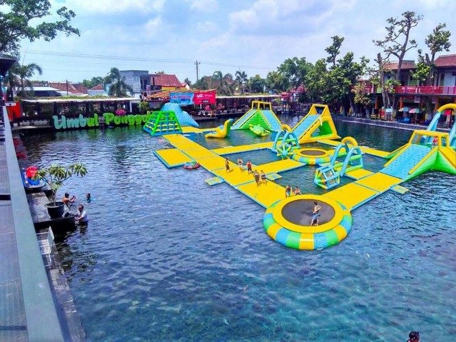 Biến ao nước ô nhiễm thành ngôi sao mạng xã hội ở Indonesia - ảnh 8