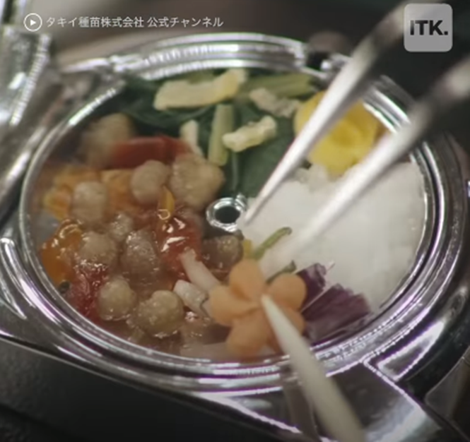Đồng hồ bento - món trang sức dành cho những soái ca mê món Nhật - ảnh 4