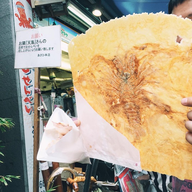 Bánh gạo hóa thạch, món ngon Nhật Bản khiến du khách vô cùng tò mò - ảnh 7