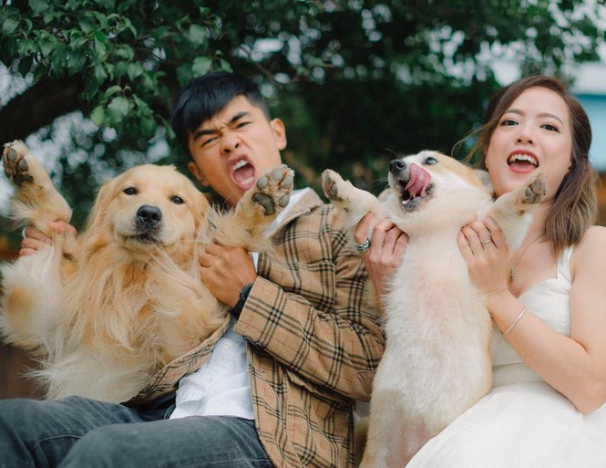 Quán cà phê gần 40 con chó hút khách ở Đà Lạt - ảnh 8