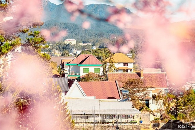 Lời
