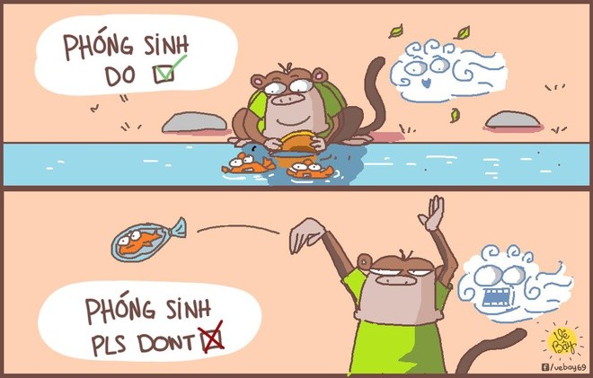 Dân mạng hào hứng chế ảnh ngày thả cá chép tiễn ông Táo về trời - ảnh 4