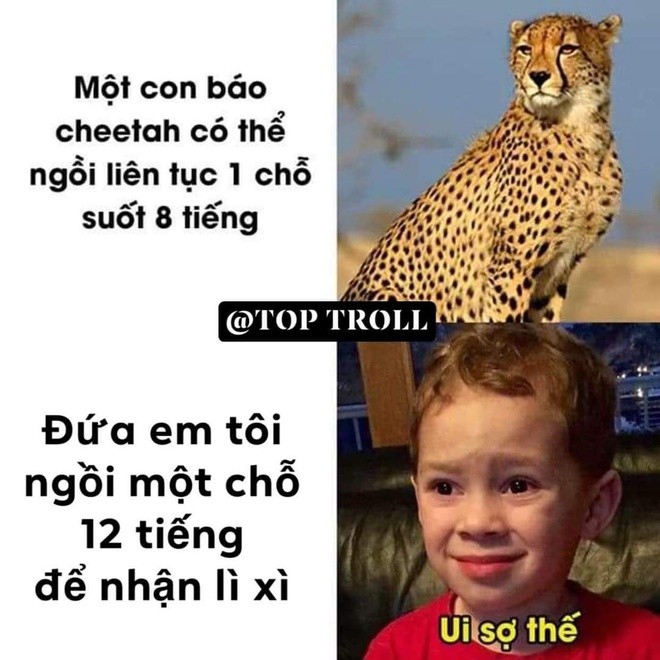 Ảnh chế những kiểu lì xì độc đáo ngày Tết - ảnh 5