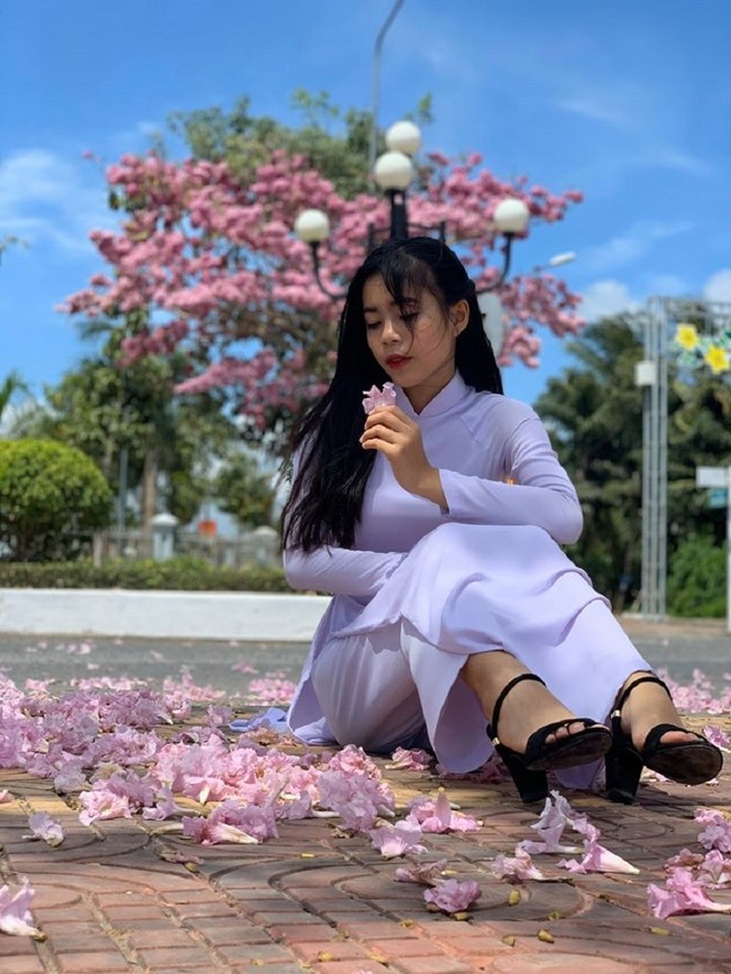 Kèn hồng ở Sóc Trăng nở rộ, đẹp xao xuyến tựa như phim Hàn Quốc - ảnh 14