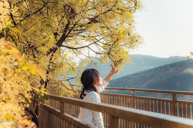 Xác định tọa độ