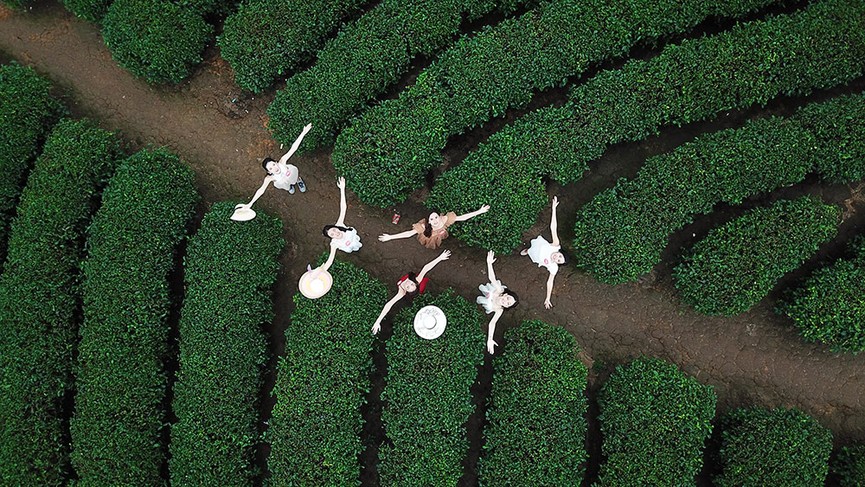 Ngắm nhan sắc thí sinh HHVN thả dáng ở đồi chè Thanh Chương - ảnh 2