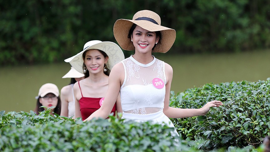 Ngắm nhan sắc thí sinh HHVN thả dáng ở đồi chè Thanh Chương - ảnh 6