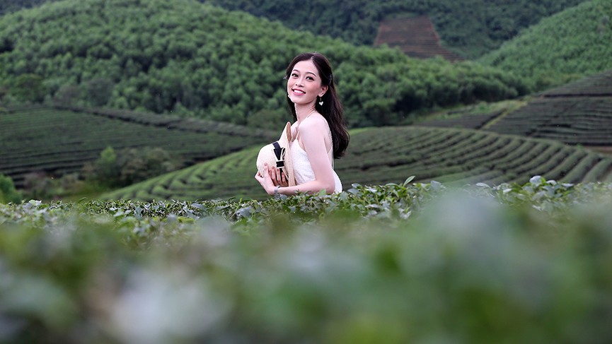 Ngắm nhan sắc thí sinh HHVN thả dáng ở đồi chè Thanh Chương - ảnh 8