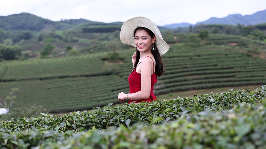 Ngắm nhan sắc thí sinh HHVN thả dáng ở đồi chè Thanh Chương - ảnh 9