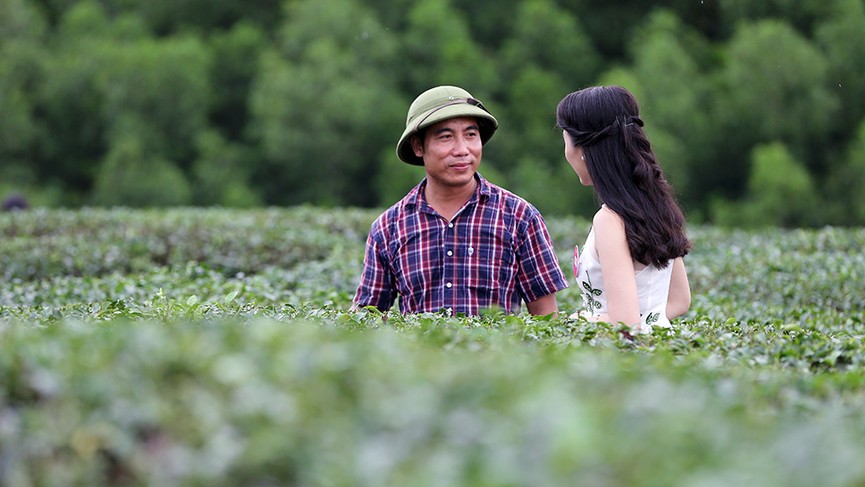 Ngắm nhan sắc thí sinh HHVN thả dáng ở đồi chè Thanh Chương - ảnh 10