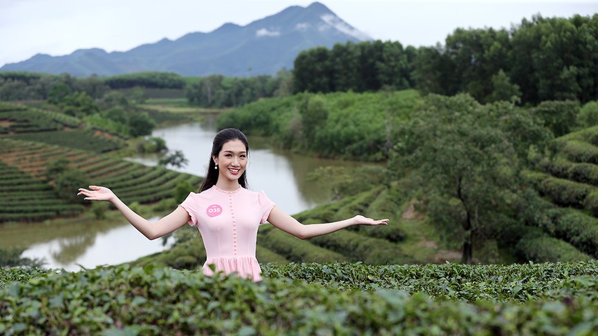Ngắm nhan sắc thí sinh HHVN thả dáng ở đồi chè Thanh Chương - ảnh 12