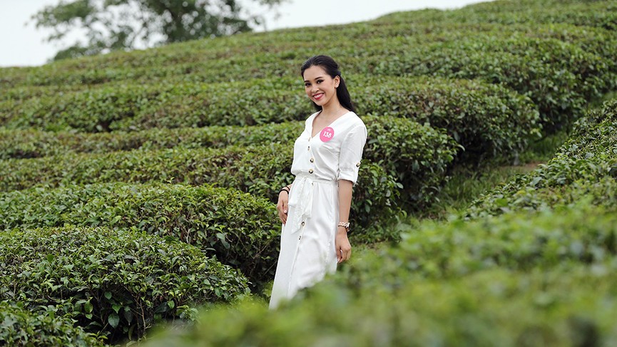 Ngắm nhan sắc thí sinh HHVN thả dáng ở đồi chè Thanh Chương - ảnh 17