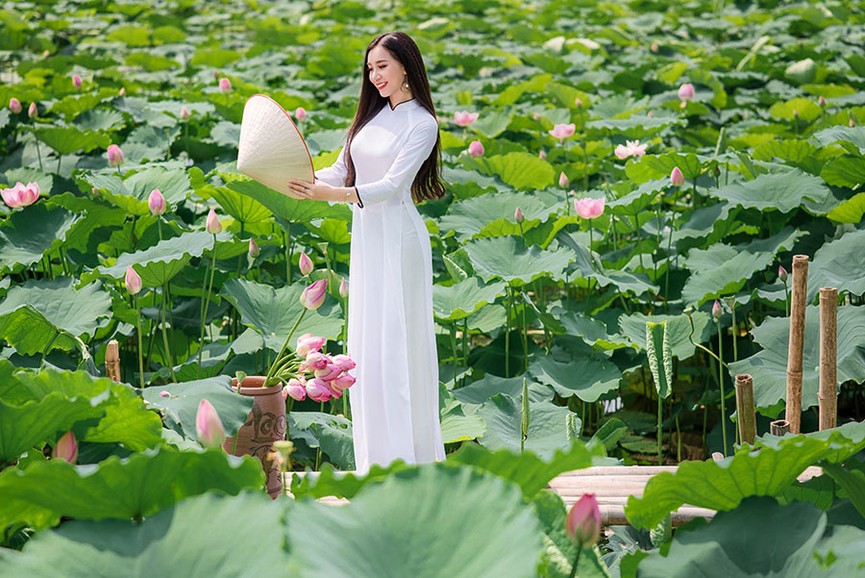 Tinh khôi nhan sắc Hoa khôi iMiss 2017 cuốn hút bên hồ sen - ảnh 1