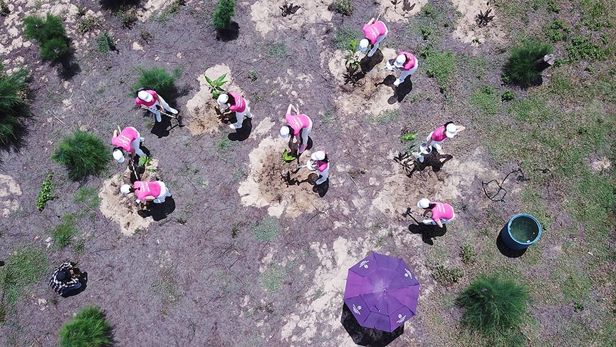 Người đẹp HHVN tham dự chuỗi sự kiện 'Go Green' bảo vệ môi trường - ảnh 4