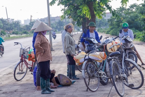 thu hoạch lúa cạnh cao ốc - ảnh 4