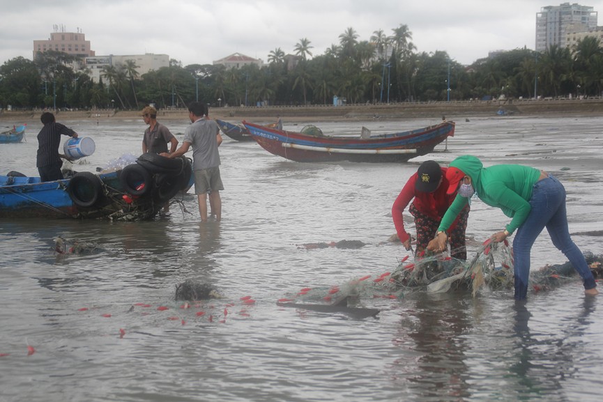 Tàu thuyền của ngư dân Vũng Tàu bị bão số 9 quật tan tành - ảnh 3