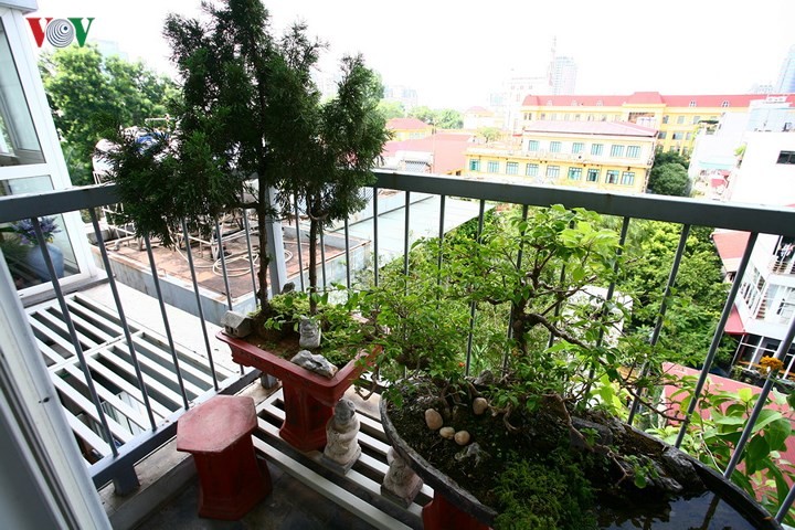 Căn hộ nhỏ ấn tượng của doanh nhân Hà Nội - ảnh 6