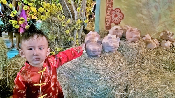 Ngắm đàn “Hợi” khủng của TPHCM đón Tết nguyên đán - ảnh 5