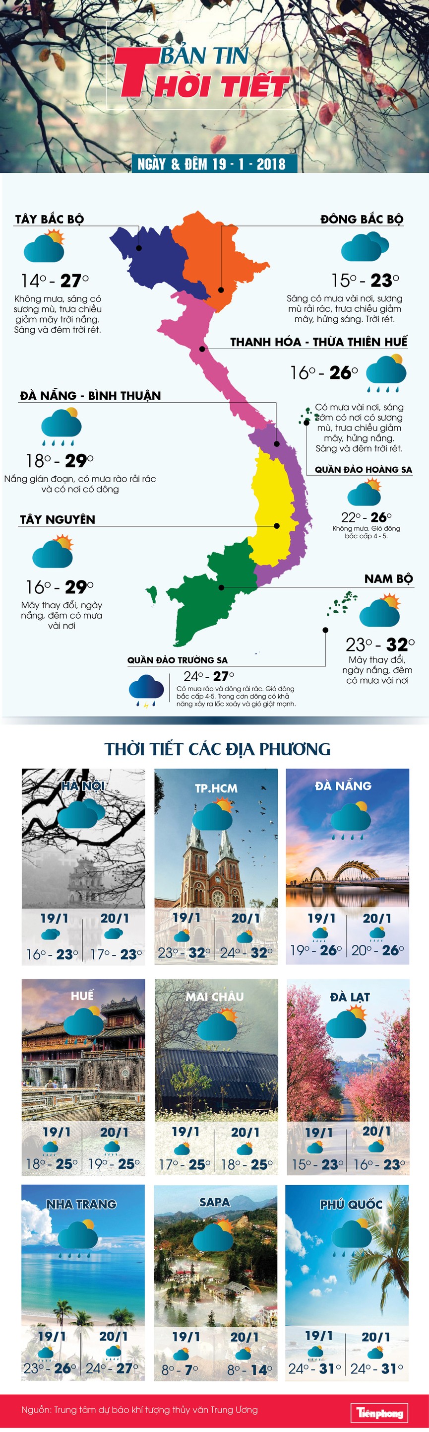 hoa anh đào trải hồng Sa Pa - ảnh 1