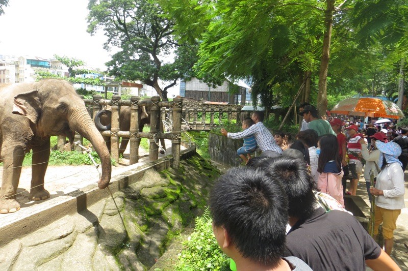 Dân Sài Gòn chen nhau ngạt thở ở Thảo Cầm Viên chơi lễ 2/9 - ảnh 12