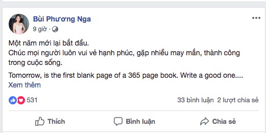 Dàn Hoa hậu, Á hậu náo nức chào đón năm mới 2019 - ảnh 11