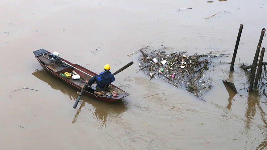 Củi rác trôi dạt 'phủ kín' mặt nước sông Hồng - ảnh 7