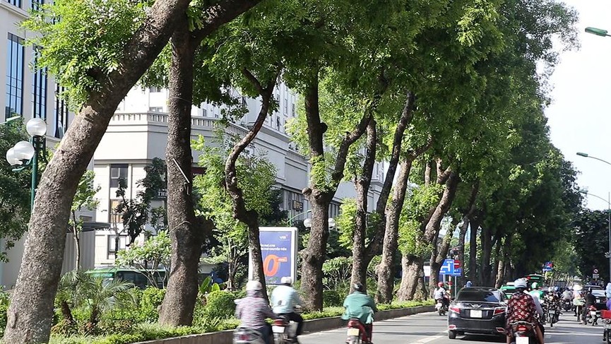 Giữa ngày nắng đổ lửa Hà thành, 'thiên đường' bóng mát là đây - ảnh 4