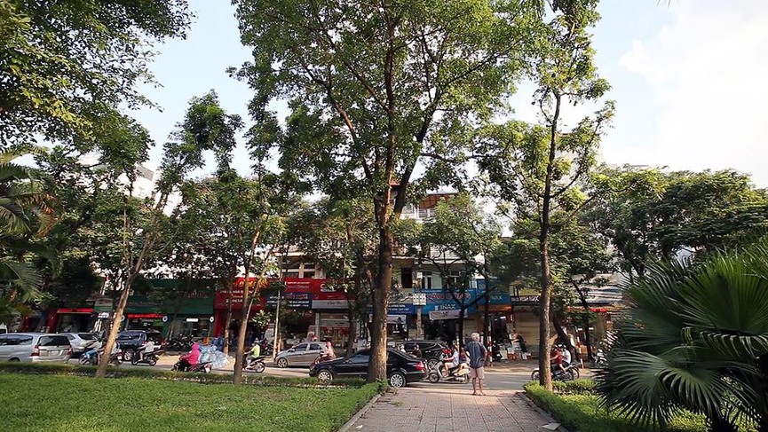 Giữa ngày nắng đổ lửa Hà thành, 'thiên đường' bóng mát là đây - ảnh 7