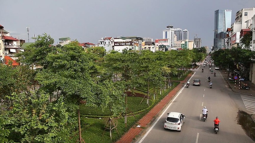 Giữa ngày nắng đổ lửa Hà thành, 'thiên đường' bóng mát là đây - ảnh 8