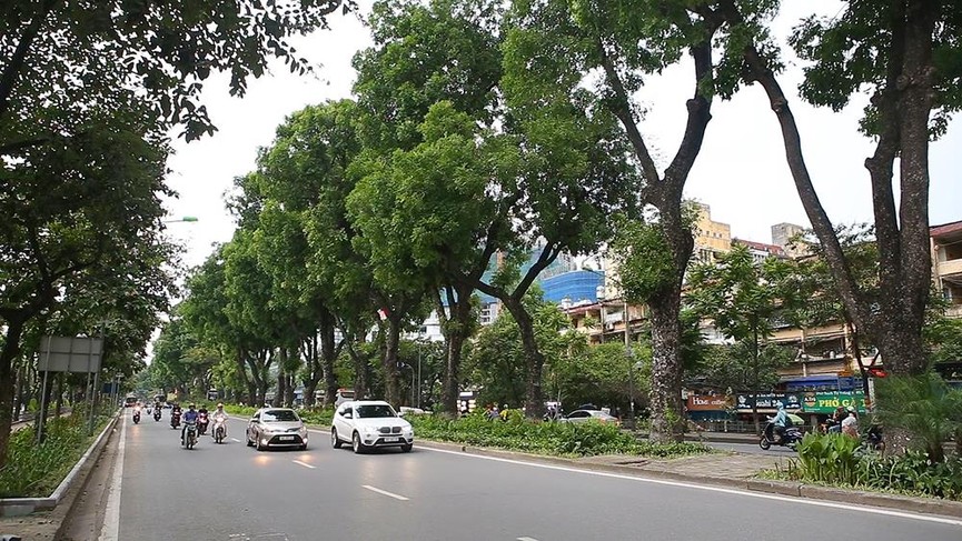 Giữa ngày nắng đổ lửa Hà thành, 'thiên đường' bóng mát là đây - ảnh 10