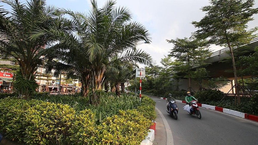 Giữa ngày nắng đổ lửa Hà thành, 'thiên đường' bóng mát là đây - ảnh 13